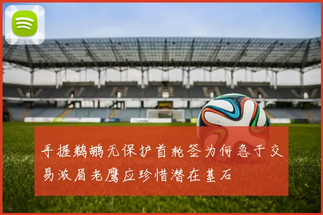 手握鹈鹕无保护首轮签为何急于交易浓眉老鹰应珍惜潜在基石